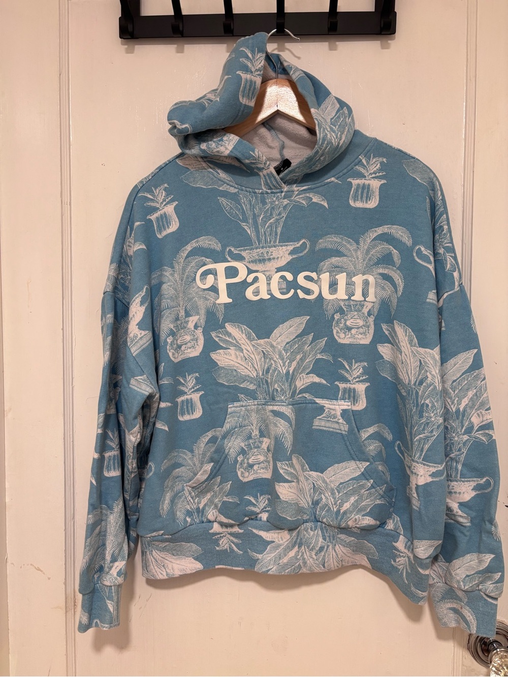 PacSun Light Blue Botanical Hoodie with White Print